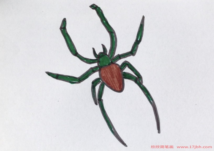 蜘蛛怎么画最吓人图片