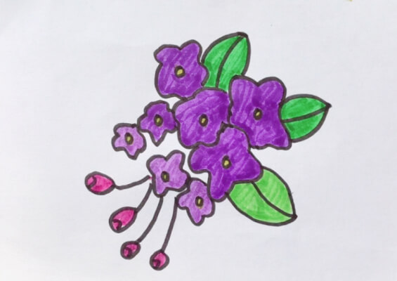 紫丁香花简笔画紫丁香怎么画简单好看