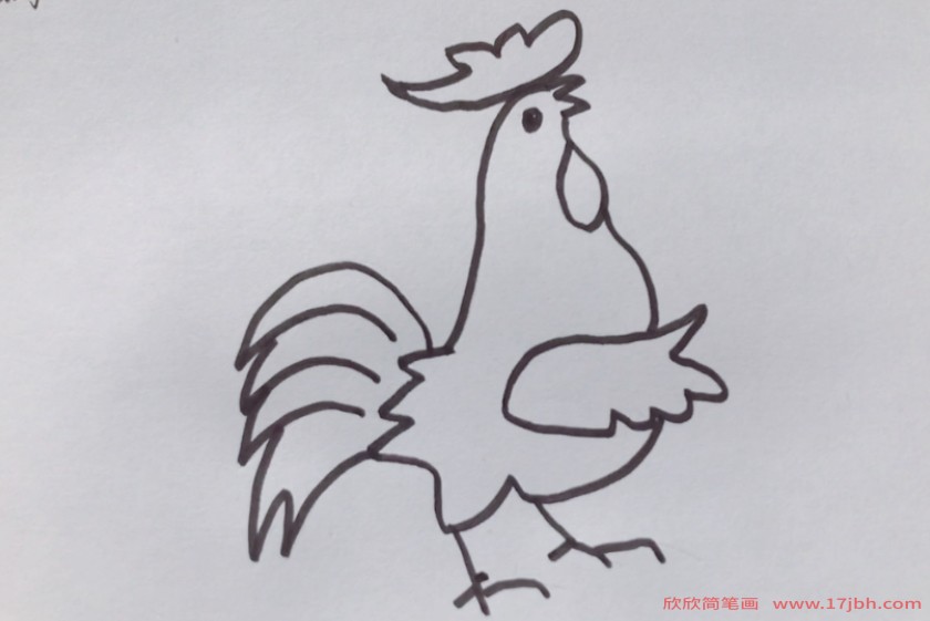 怎样画鸡 简笔画图片