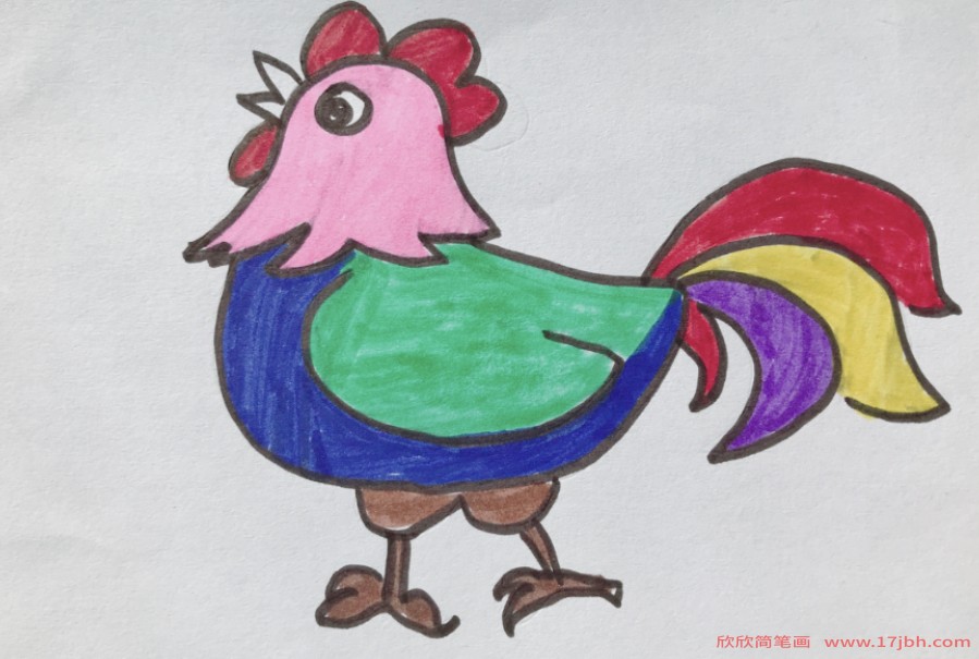 鸡的简笔画法彩色图片