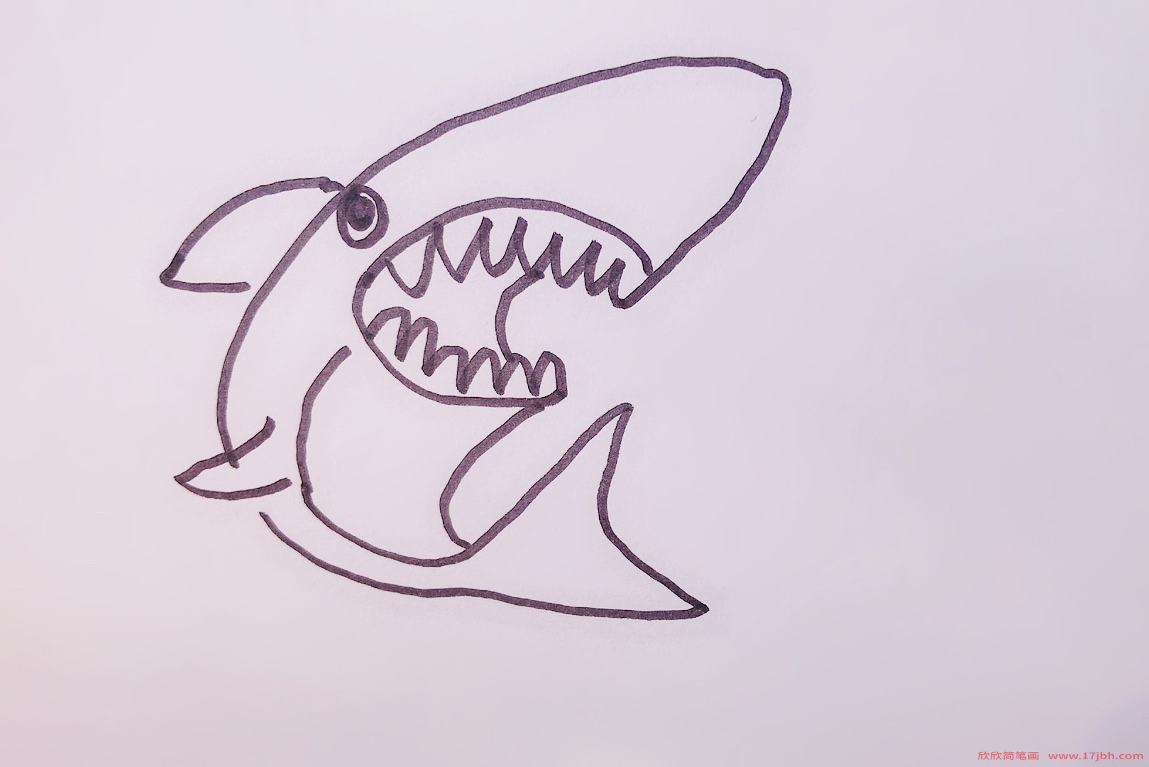 鲨鱼的简笔画 鲨鱼怎么画教程