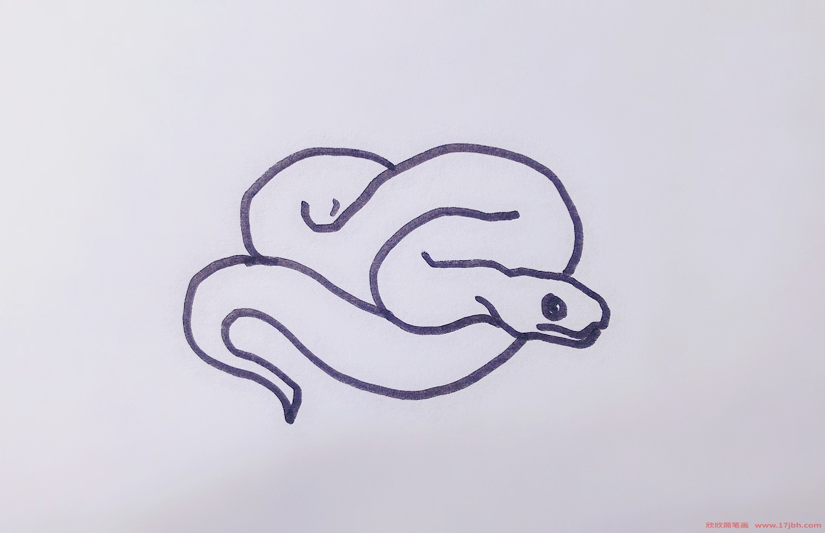 白蛇简笔画 卡通图片