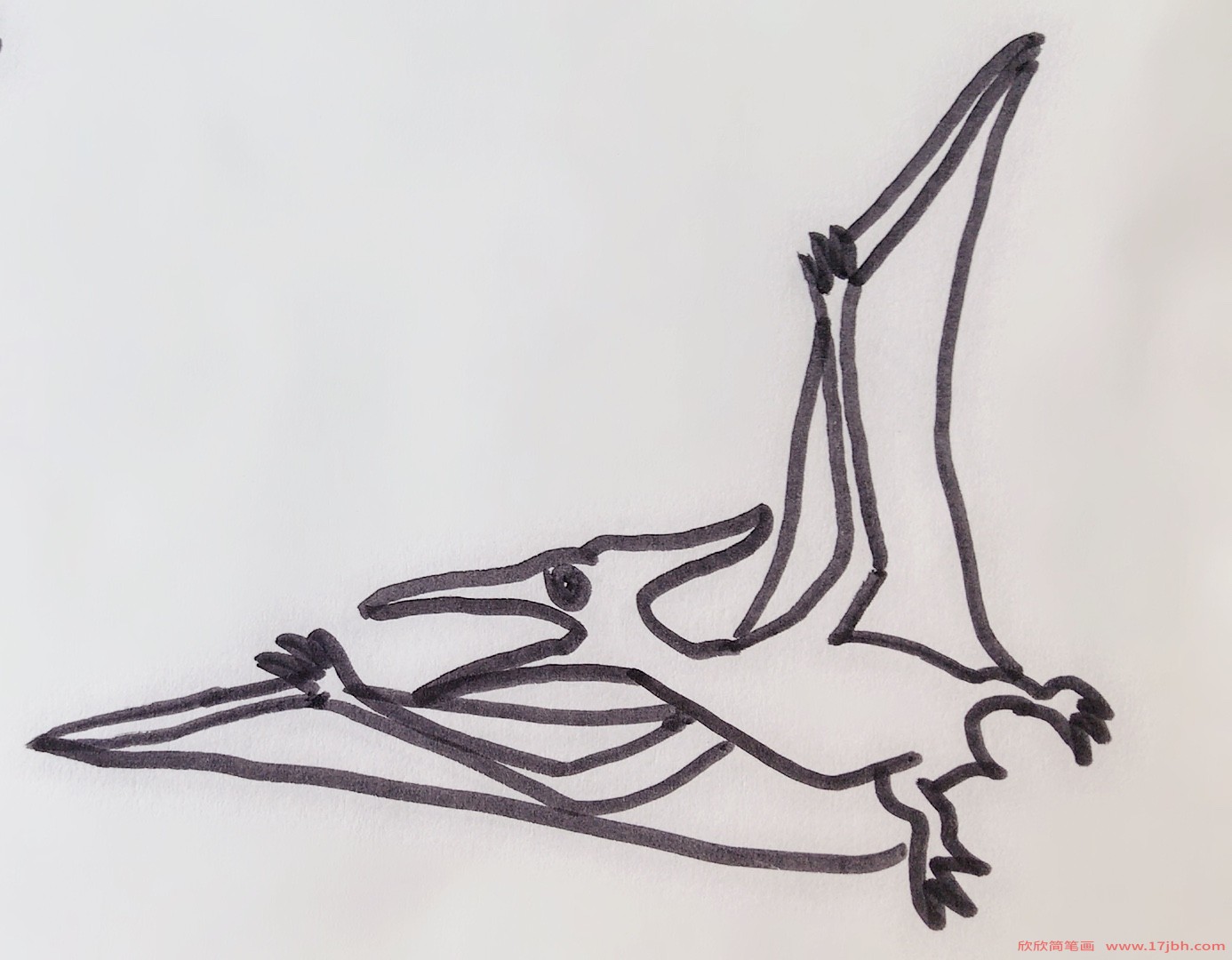 翼龙恐龙化石简笔画图片