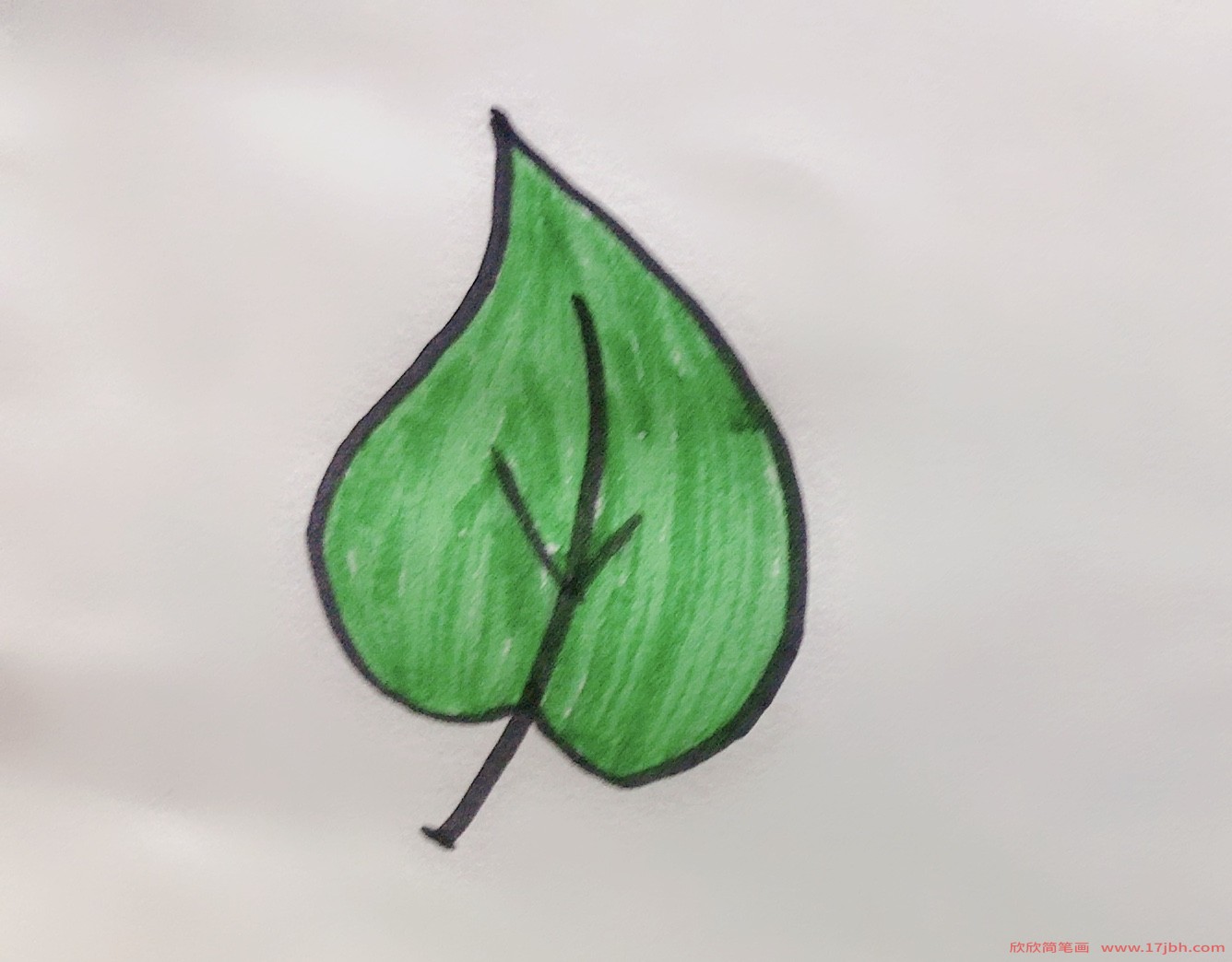 树叶的简笔画 树叶怎么画简单