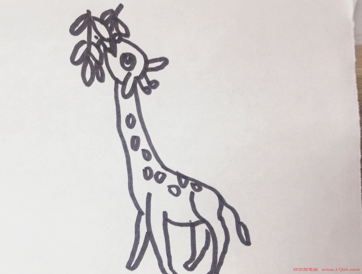 长颈鹿吃树叶简笔画长颈鹿怎么画图片