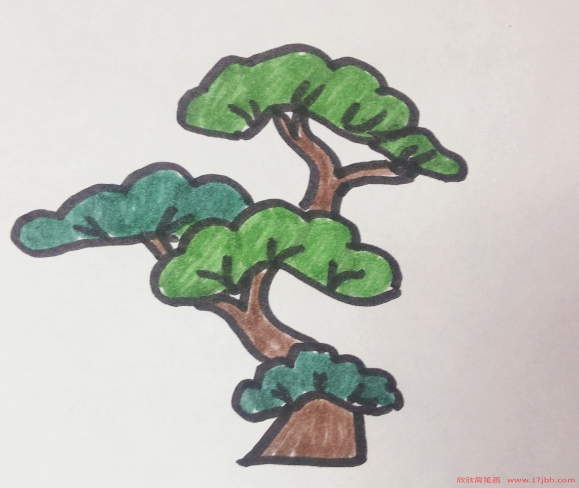 松树的画法 简笔画图片
